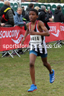 Boys under-13s 2021 National Cross Country Relays, Berry Hill Park, Mansfield. Photo: David T. Hewitson/Sports for All Pics